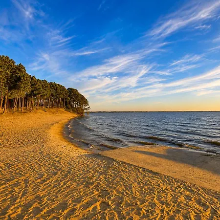 Blue : La Roulotte Du Medoc Naujac-sur-Mer